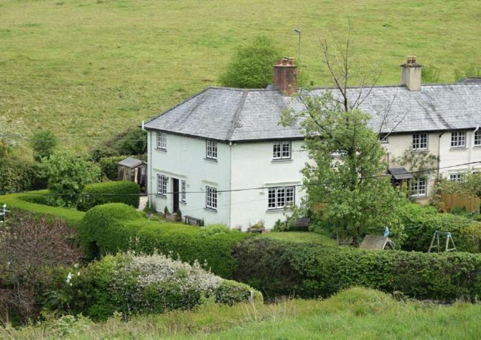 Cedra Cottage - Vintage Country Hideaway Axminster Ngoại thất bức ảnh
