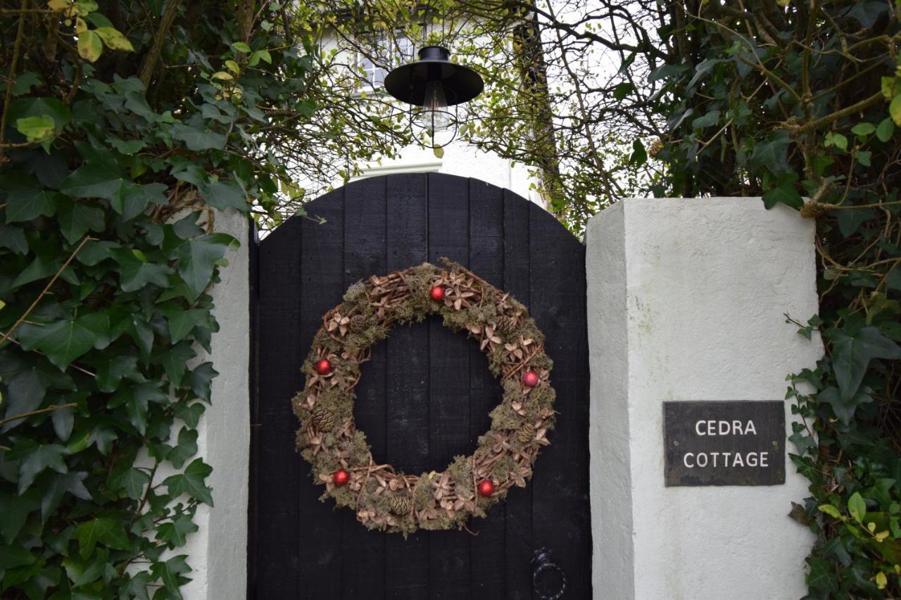 Cedra Cottage - Vintage Country Hideaway Axminster Ngoại thất bức ảnh