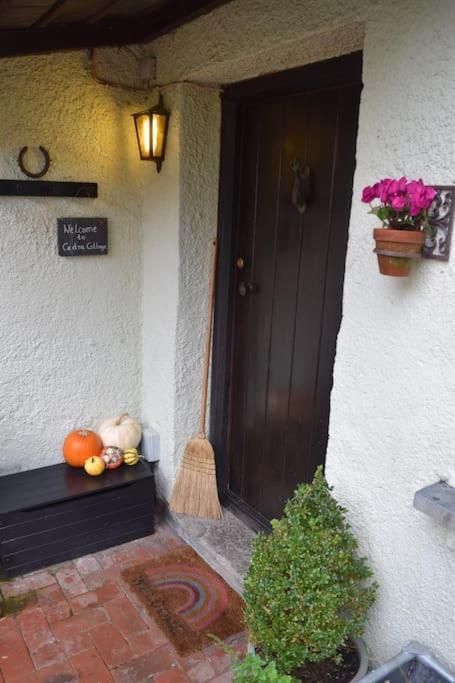 Cedra Cottage - Vintage Country Hideaway Axminster Ngoại thất bức ảnh