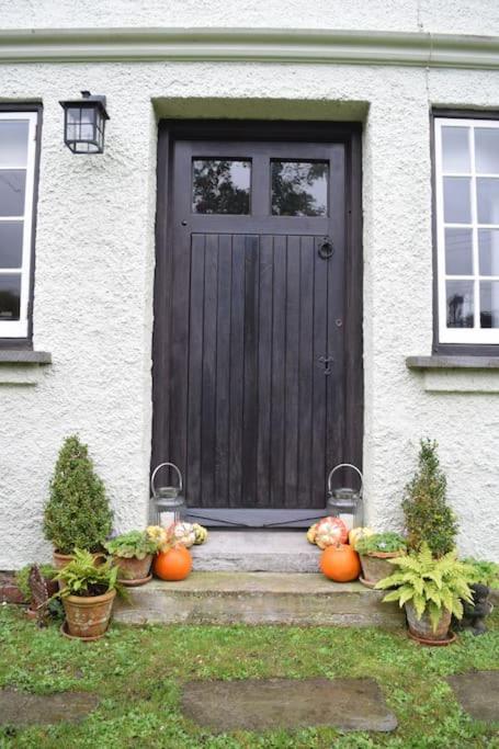 Cedra Cottage - Vintage Country Hideaway Axminster Ngoại thất bức ảnh