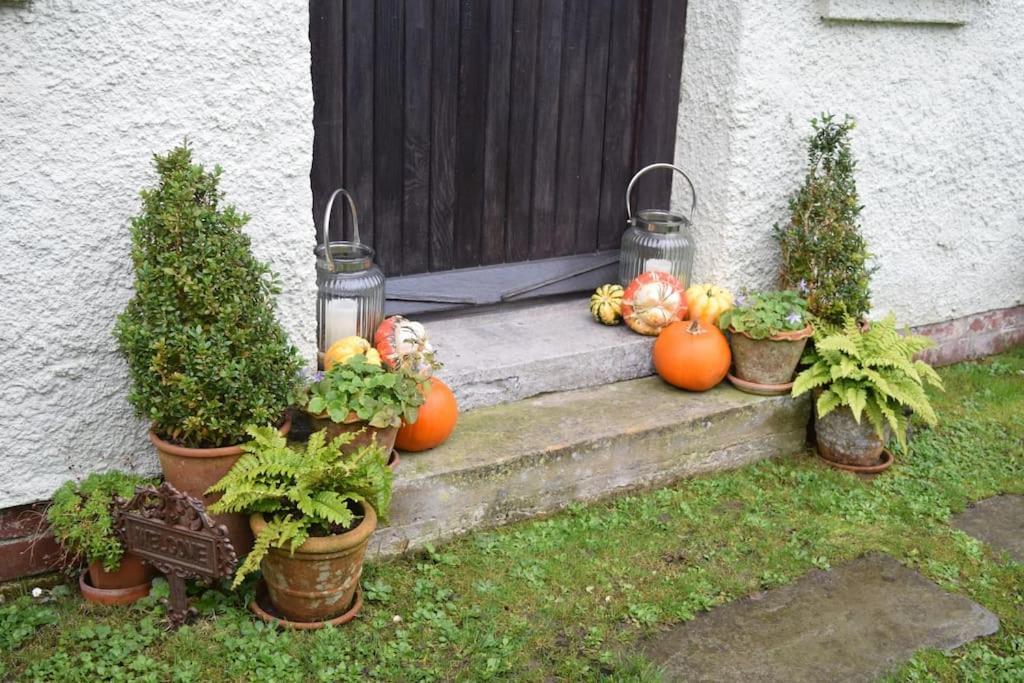 Cedra Cottage - Vintage Country Hideaway Axminster Ngoại thất bức ảnh